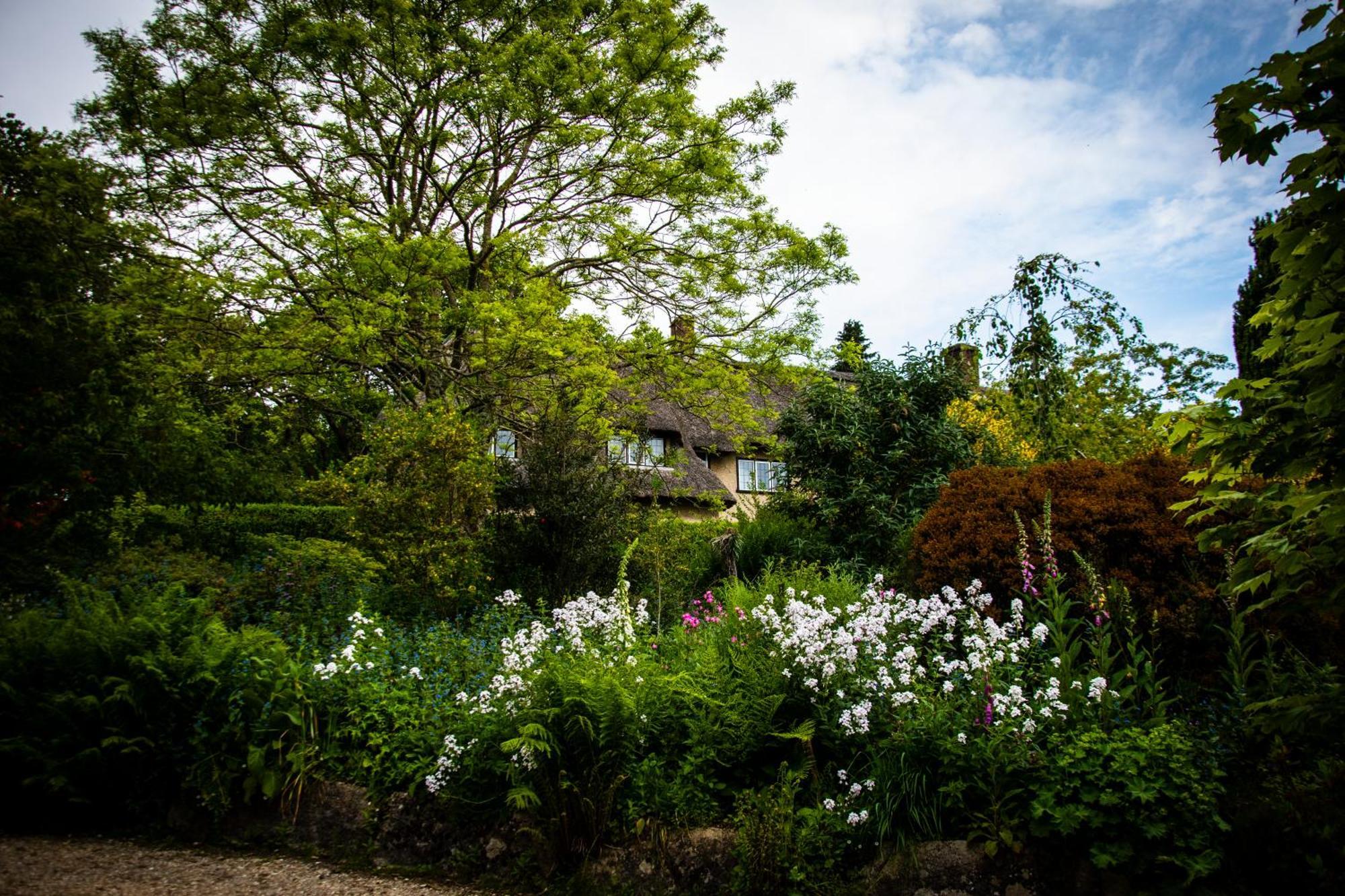 Furzey House Villa Minstead Bagian luar foto